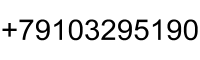 +79103295190